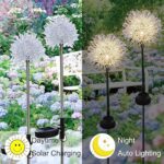 Solar Powered Dandelion Garden Lights (2 Pc) - Full Detail by Nari Haat, Indian ethnic wear, women clothing, designer...