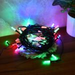 Premium Multi-Color LED Decorative String Lights (9 Mtr) - Back View by Nari Haat, Indian ethnic wear, women clothing...