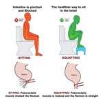 Plastic Non-Slip Folding Toilet Squat Stool - Full Detail by Nari Haat, Indian ethnic wear, women clothing, designer ...