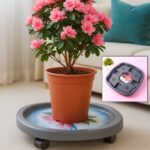 Supermom Plastic Multi Purpose Heavy Duty Gas Cylinder Trolley - Full Detail by Nari Haat, Indian ethnic wear, women ...