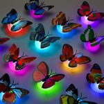 The Butterfly 3D Night Lamp Comes with 3D Illusion Design Suitable for Drawing Room, Lobby. - Full Detail by Nari Haa...