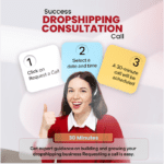 30 Minutes Dropshipping Masterclass Call – 1-on-1 With an Expert - Dropshipping Pro (30 Minutes on Call Instruction...