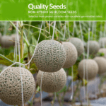 Fruit Seeds Combo Pack - (10 Pc / Set) - Closeup Embroidery by Nari Haat, Indian ethnic wear, women clothing, designe...