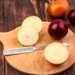 Stainless Steel Utility Knife