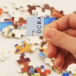 Wooden India Map Puzzle - (1 Set) - Back View by Nari Haat, Indian ethnic wear, women clothing, designer suit