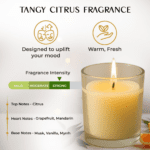 In'lief  Blueberry Soy-Blend Votive Candle Glass – 50 gm (1 Pc) - With Dupatta by Nari Haat, Indian ethnic wear, wo...