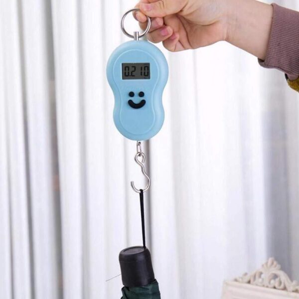 Portable Mini Digital Weighing Scale