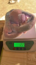 Soft Plush Winter Earmuffs for Kids (1 Pc) - Full Detail by Nari Haat, Indian ethnic wear, women clothing, designer suit