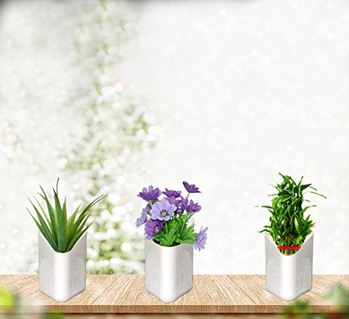 Multicolour Vertical Hanging Planter