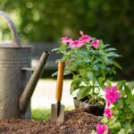 #1 Gardening Tool Set 4 Pcs – Pruner Shears, Hand Cultivator, Trowel & Fork with Wooden Handle for Planting, Weedin...