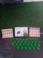 Plant Climbing Wall Fixture Clip (30 Pcs Set) - Full Detail by Nari Haat, Indian ethnic wear, women clothing, designe...