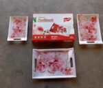 Plastic Rectangular Serving Tray Set – Printed Design Trays for Home & Kitchen - Full Detail by Nari Haat, Indian e...
