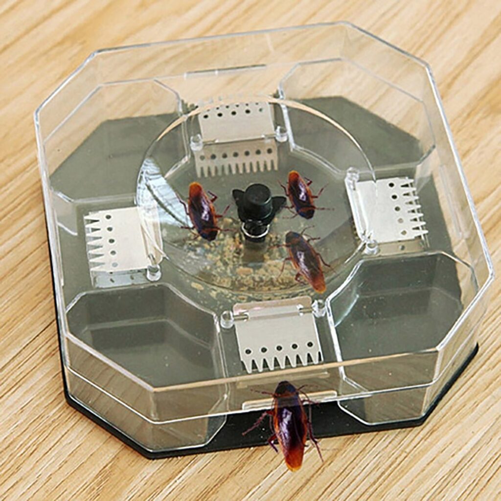 Chemical-free cockroach trap box for home