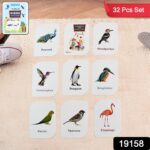 KidKraft Early Learner Educational Flashcards – 32 Birds - With Dupatta by Nari Haat, Indian ethnic wear, women clo...