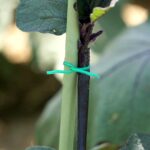 Plastic Twist Tie Wire Spool With Cutter For Garden Yard Plant 30m (Green) - Image 3