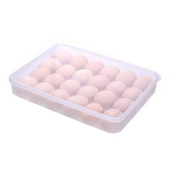 24 Grids Plastic Egg Box Container Holder Tray Fridge with Lid for 2 Dozen Egg Tray - Front View by Nari Haat, Indian...