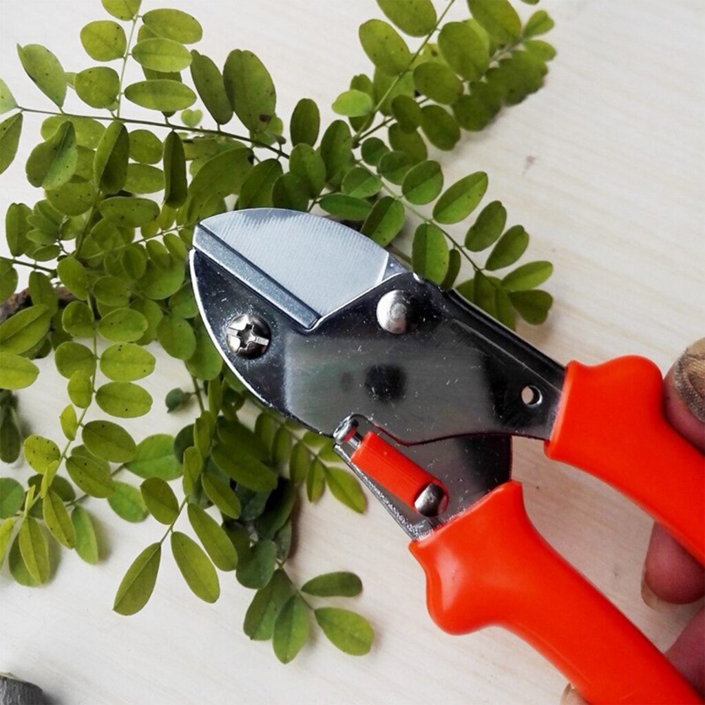 Professional Garden Scissor Pruning Shear