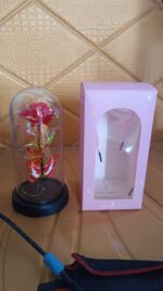 Elegant LED Eternal Rose in Plastic Dome (1 Pc / Battery Not included) - Fabric Detail by Nari Haat, Indian ethnic we...