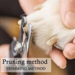 Professional Pet Nail Clipper and File (2 Pc Set) - Fabric Detail by Nari Haat, Indian ethnic wear, women clothing, d...