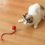 Rechargeable Interactive Cat Toy Ball with Detachable Tail and LED Light (1 Pc) - Fabric Detail by Nari Haat, Indian ...