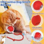 Rechargeable Interactive Cat Toy Ball with Detachable Tail and LED Light (1 Pc) - Full Detail by Nari Haat, Indian et...
