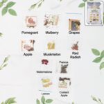 Fruit Seeds Combo Pack - (10 Pc / Set) - Front View by Nari Haat, Indian ethnic wear, women clothing, designer suit