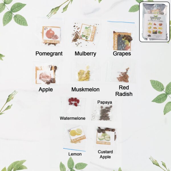 Fruit Seeds Combo Pack - (10 Pc / Set) - Front View by Nari Haat, Indian ethnic wear, women clothing, designer suit