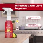 Pollic kadam Concentrated Kitchen Surface Cleaner Refill Kit with Spray Bottle - Closeup Embroidery by Nari Haat, Ind...