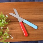 Premium Quality Stainless Steel Handle Plain Knife (10 Pc / 1 Set) - Fabric Detail by Nari Haat, Indian ethnic wear, ...