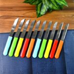 Premium Quality Stainless Steel Handle Plain Knife (10 Pc / 1 Set) - Back View by Nari Haat, Indian ethnic wear, wome...