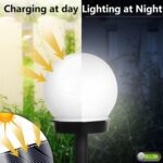 Solar-Powered LED Garden Globe Pathway Light (1 Pc) - Full Detail by Nari Haat, Indian ethnic wear, women clothing, d...