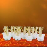 Decorative Cactus Shape LED Tealight Candles (12 Pc) - Closeup Embroidery by Nari Haat, Indian ethnic wear, women clo...