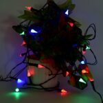 Multi-Color Decorative LED String Light  (8 Meter) - Back View by Nari Haat, Indian ethnic wear, women clothing, desi...