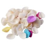 Decorative Seashells Set  (1 Set) - Sleeve Design by Nari Haat, Indian ethnic wear, women clothing, designer suit