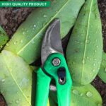 Garden Shears Pruners Scissor for Cutting Branches, Flowers, Leaves, Pruning Seeds - Back View by Nari Haat, Indian e...