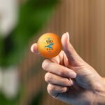 Professional Table Tennis Balls (6 Pc) - Closeup Embroidery by Nari Haat, Indian ethnic wear, women clothing, designe...