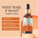 VIGI&GLO Niacinamide 10% Face Serum | Acne Marks, Oil Control & Pore Tightening | Herbal | 30ml - Back View b...