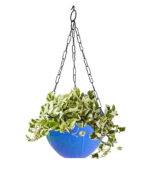 Flower Pot Plant with Hanging Chain for Houseplants Garden Balcony Decoration - Back View by Nari Haat, Indian ethnic...
