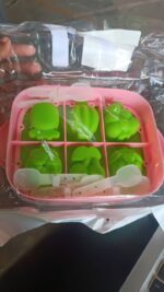 6-Cavity Silicone Ice Cream and Popsicle Mold Tray (1 Set) - Fabric Detail by Nari Haat, Indian ethnic wear, women cl...