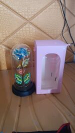 LED-Powered Eternal Rose in plastic Dome (1 Pc / Battery not Included) - Full Detail by Nari Haat, Indian ethnic wear...