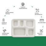 5-Compartment Rectangle Lunch Compostable Bagasse Plate – 10 Pcs Pack - Fabric Detail by Nari Haat, Indian ethnic w...