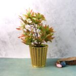 Luxury Golden Decorative Makeup Brush Holder Organizer (1 Pc) - Fabric Detail by Nari Haat, Indian ethnic wear, women...