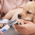 Pet Nail Clipper and Nail File Grooming Kit for Dogs and Cats (Mix Color / 2 Pc) - Back View by Nari Haat, Indian eth...