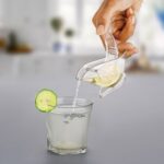 Bird-Shaped Lemon Squeezer for Citrus Fruits (Portable, Color Box) - Closeup Embroidery by Nari Haat, Indian ethnic w...