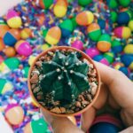 Decorative Stones and Pebbles for Garden, Vase Fillers Multicolor. - Image 7