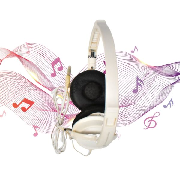 Foldable DJ Style Wired Headphones with Mic