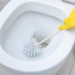 Toilet Plastic Brush with Holder Stand Western and Indian Toilet Bathroom Cleaning - With Dupatta by Nari Haat, India...