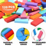 120Pc Dominoes Blocks Set Multicolor Wooden Toy Building Indoor Game Toy. - Image 8