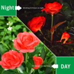 Garden Solar Outdoor Rose Lights Decorative Holiday Decoration (2 Pcs Set) - Neckline Detail by Nari Haat, Indian eth...