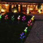 Waterproof Outdoor Solar Lily Flower Stake Lights ( Pack Of 2 pcs ) - Front View by Nari Haat, Indian ethnic wear, wo...
